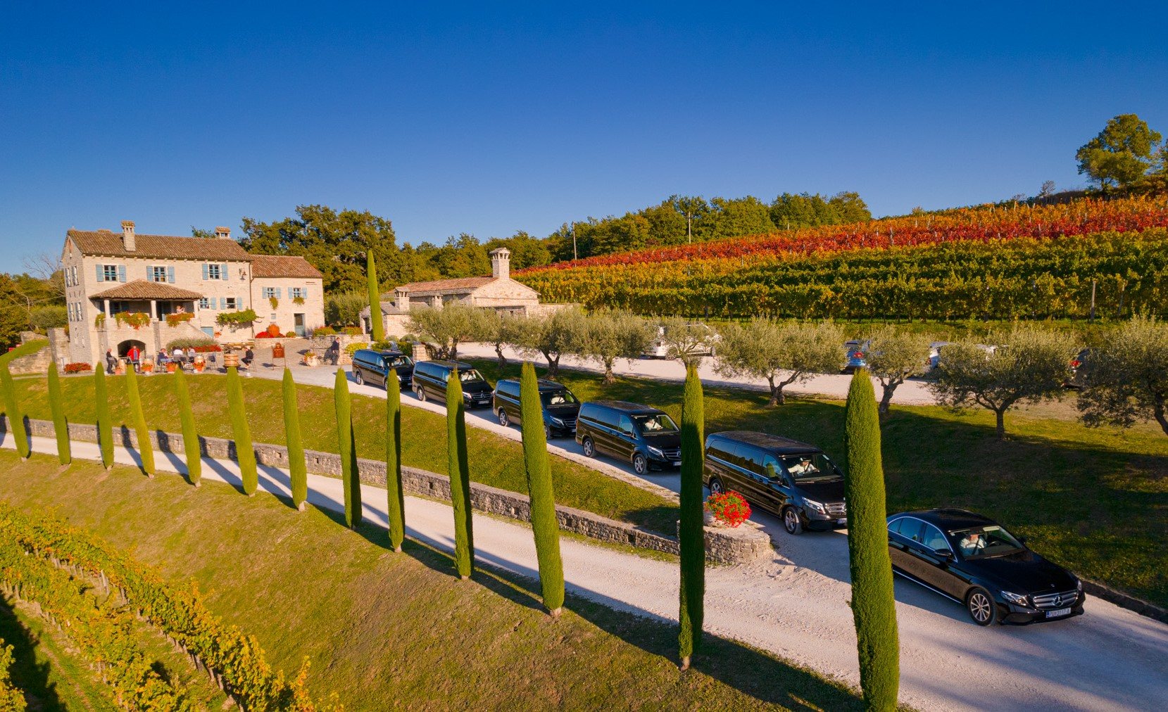Istrian winery
